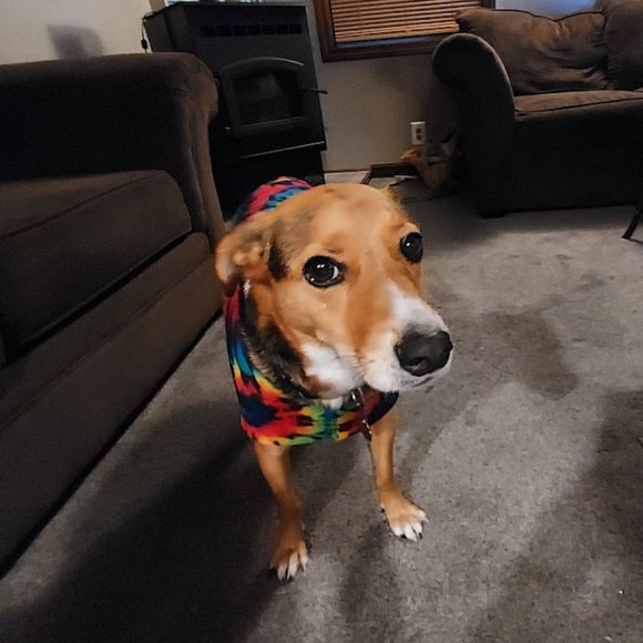 Not For Sale - Picture 4 of 5